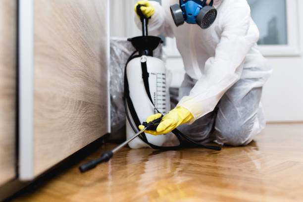 Best Wildlife Control Services  in Collierville, TN