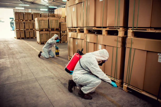 Best Residential Pest Control  in Collierville, TN