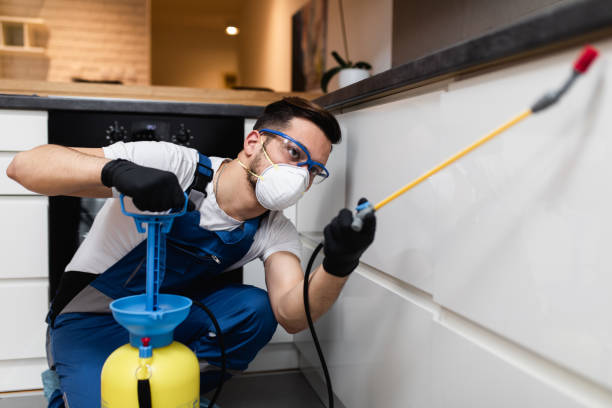 Best Commercial Pest Control Services  in Collierville, TN