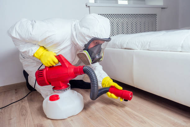 Best Emergency Pest Control  in Collierville, TN