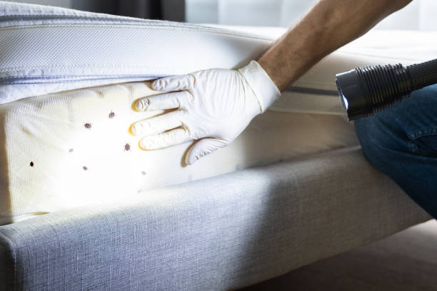 Best Pest Inspection Near Me  in Collierville, TN