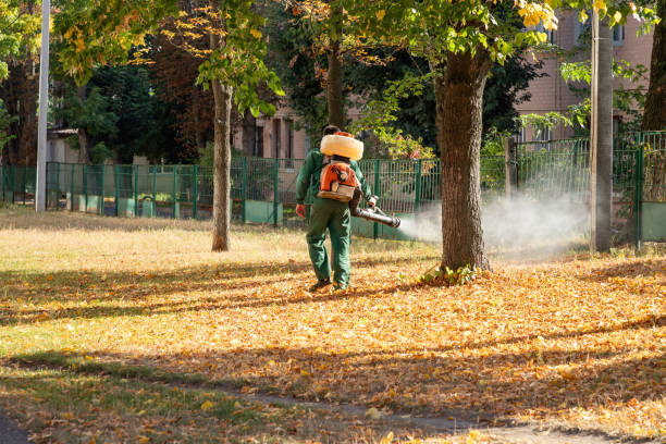 Collierville, TN Pest Control Company