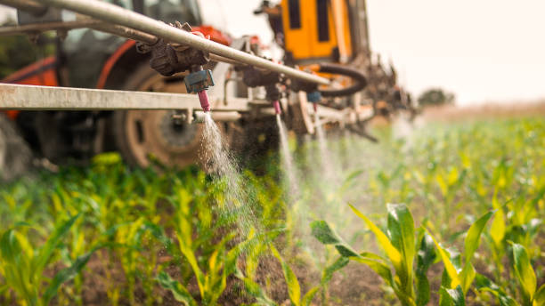 Best Pest Control for Homes  in Collierville, TN