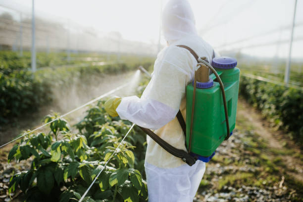 Best Bed Bug Extermination  in Collierville, TN